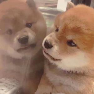 久草视频资源站
