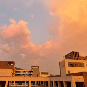 久草视频资源站
